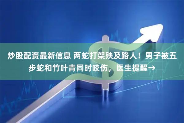炒股配资最新信息 两蛇打架殃及路人！男子被五步蛇和竹叶青同时咬伤，医生提醒→