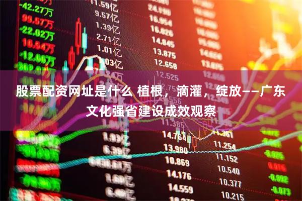 股票配资网址是什么 植根，滴灌，绽放——广东文化强省建设成效观察