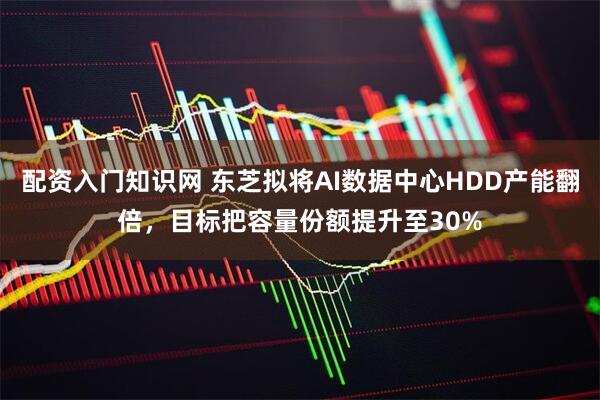 配资入门知识网 东芝拟将AI数据中心HDD产能翻倍，目标把容量份额提升至30%